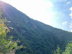 -蒲河岛湿地公园