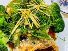 介末捞鲈鱼-华哥私厨-原醉琼楼