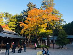 -北海道神宫