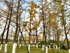 -府河摄影公园