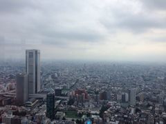 -东京都厅舍