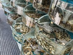 -仙螺岛海鲜自助餐厅(总店)