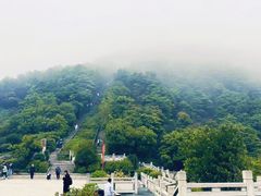 -梧桐山风景名胜区