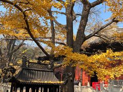 -红螺寺