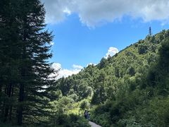 -驼梁风景区