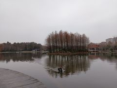 -上海长兴岛郊野公园