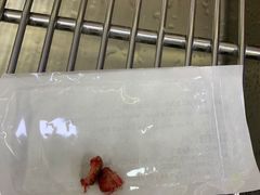 -爱侣宠医·鹦鹉专科·小型哺乳类·异宠专科(灵石路店)