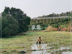 -晓雯人家