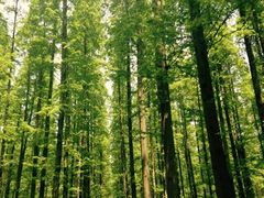 iphone_upload_pic-上海怡沁园度假酒店