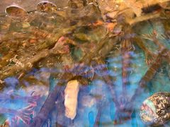 -魏铭鱼头捞饭(晋阳路店)