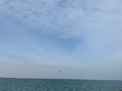 -日照世帆赛基地