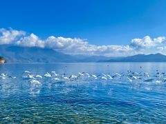 -丽江泸沽湖景区