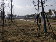 -春花秋色城市公园