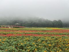 -广州市石门国家森林公园