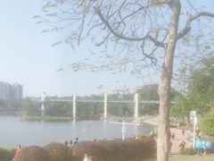 -东莞植物园