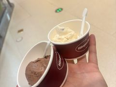 -哈根达斯(SM店)