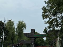 -溱湖国家湿地公园