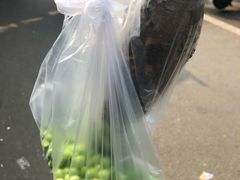 -树木岭集贸市场(劳动东路)