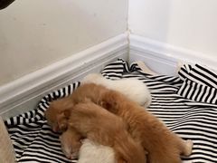 -隹木咖啡馆(宝龙广场店)