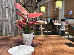 -上上席川菜(凯德乐峰广场店)
