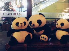 -栖巢咖啡(天鹅湖万达低碳店)