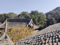 -宁波市保国寺古建筑博物馆