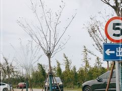 -南汇嘴观海公园