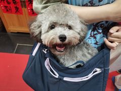 -龙华素斋(龙华路店)