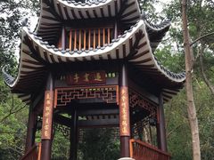 -梧桐山风景名胜区