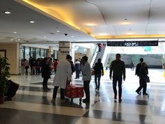 -上海中医药大学附属曙光医院(东部)