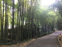 -苏州环秀晓筑养生度假村