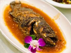 红烧石斑鱼-红高粱大酒店(宁山东路店)