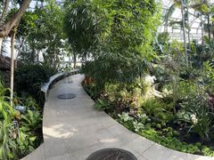 -北京植物园-展览温室