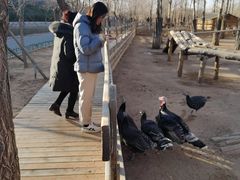 -鄂尔多斯野生动物园