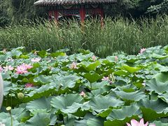 -十渡东湖港风景区