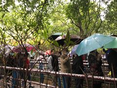 -韶山毛泽东同志故居