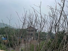 -北京西山国家森林公园