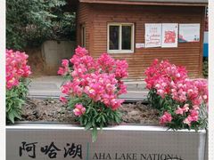 -阿哈湖国家湿地公园