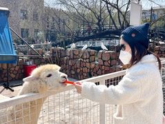 -J Create城市露营咖啡·简餐·宠物(上海动物园店)