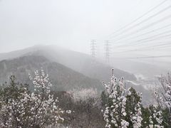 -定都阁