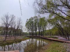 -东郊湿地公园