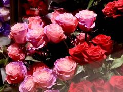 -ROSEONLY诺誓(磐基中心店)