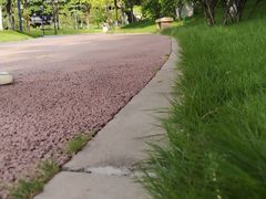 -映月湖公园
