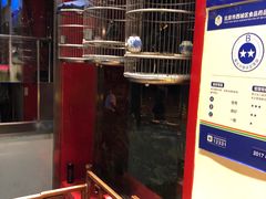 -红红烤鸭店(西单店)