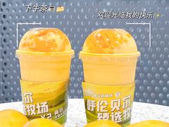 -茉酸奶(春熙路店)