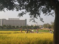 -光明小镇欢乐田园