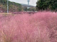 -南京奥林匹克体育中心-体育馆