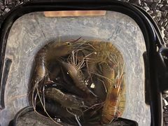 -DGE季风钓虾营地·团建·聚会