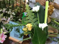 -香园自助小火锅