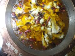 -雲蜀龙阁·金牌水煮鱼(方庄店)